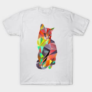 Karl Kater (Alfonso) T-Shirt